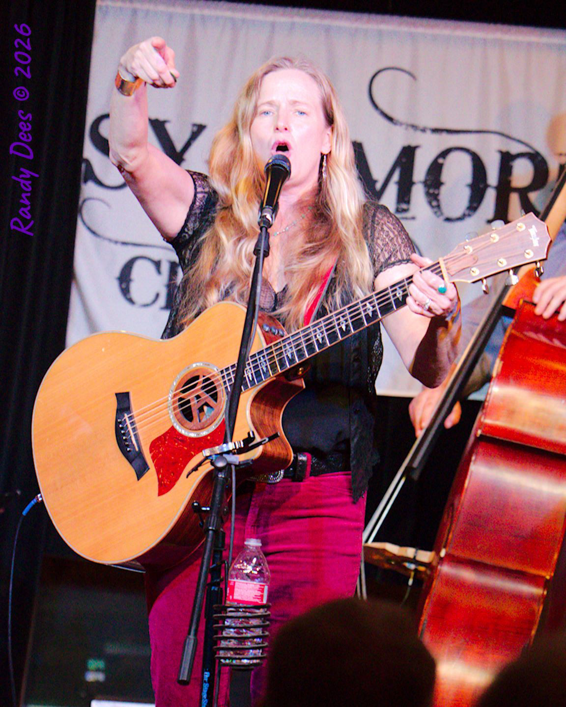 Sycamore Creek Concerts