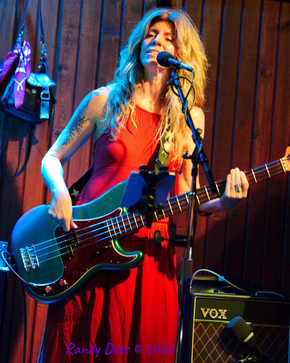 Sister Golden Hair the Band