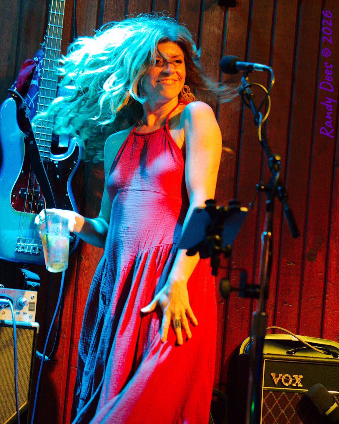 Sister Golden Hair the Band