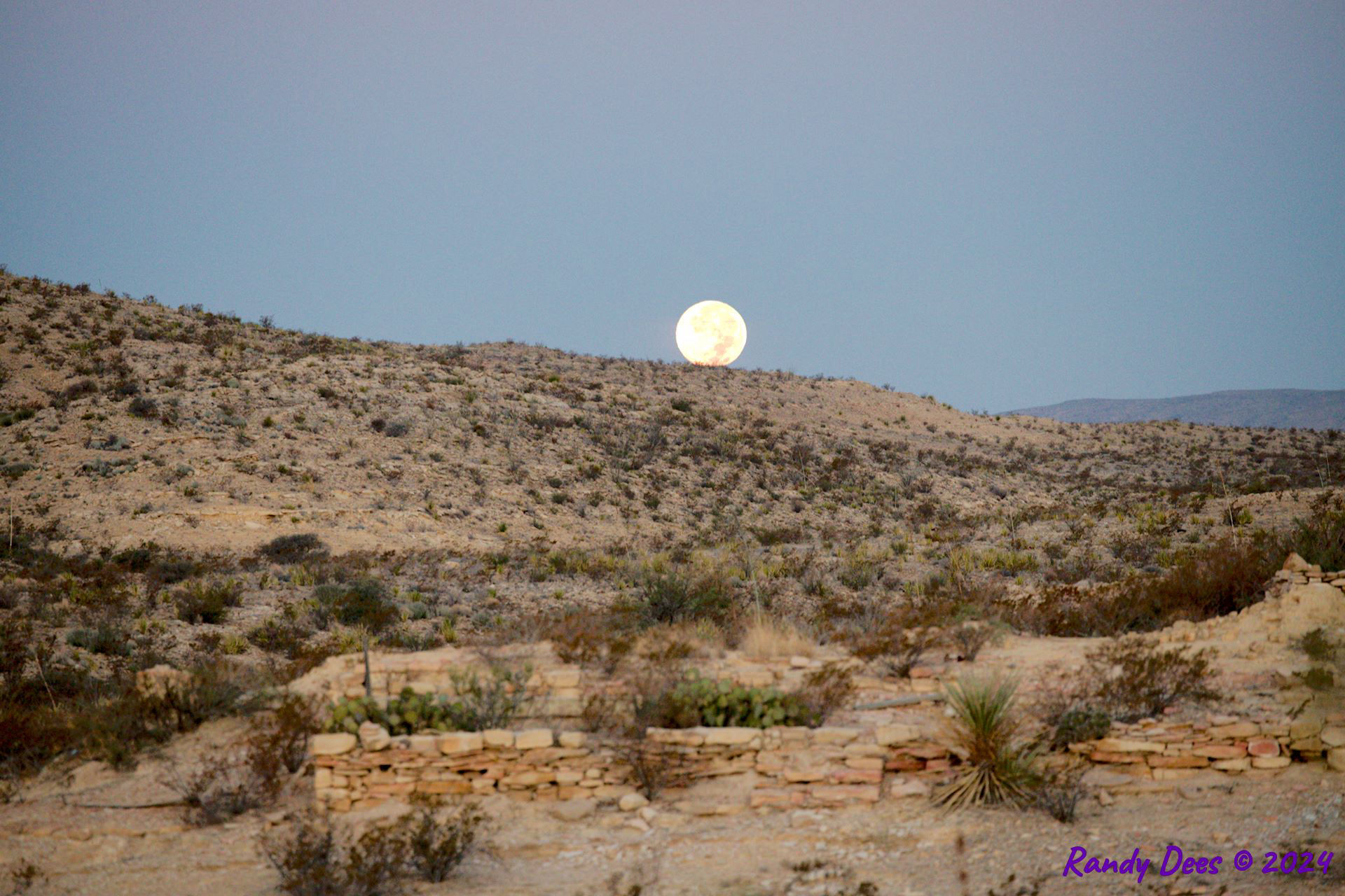 2024 Terlingua Music Bash