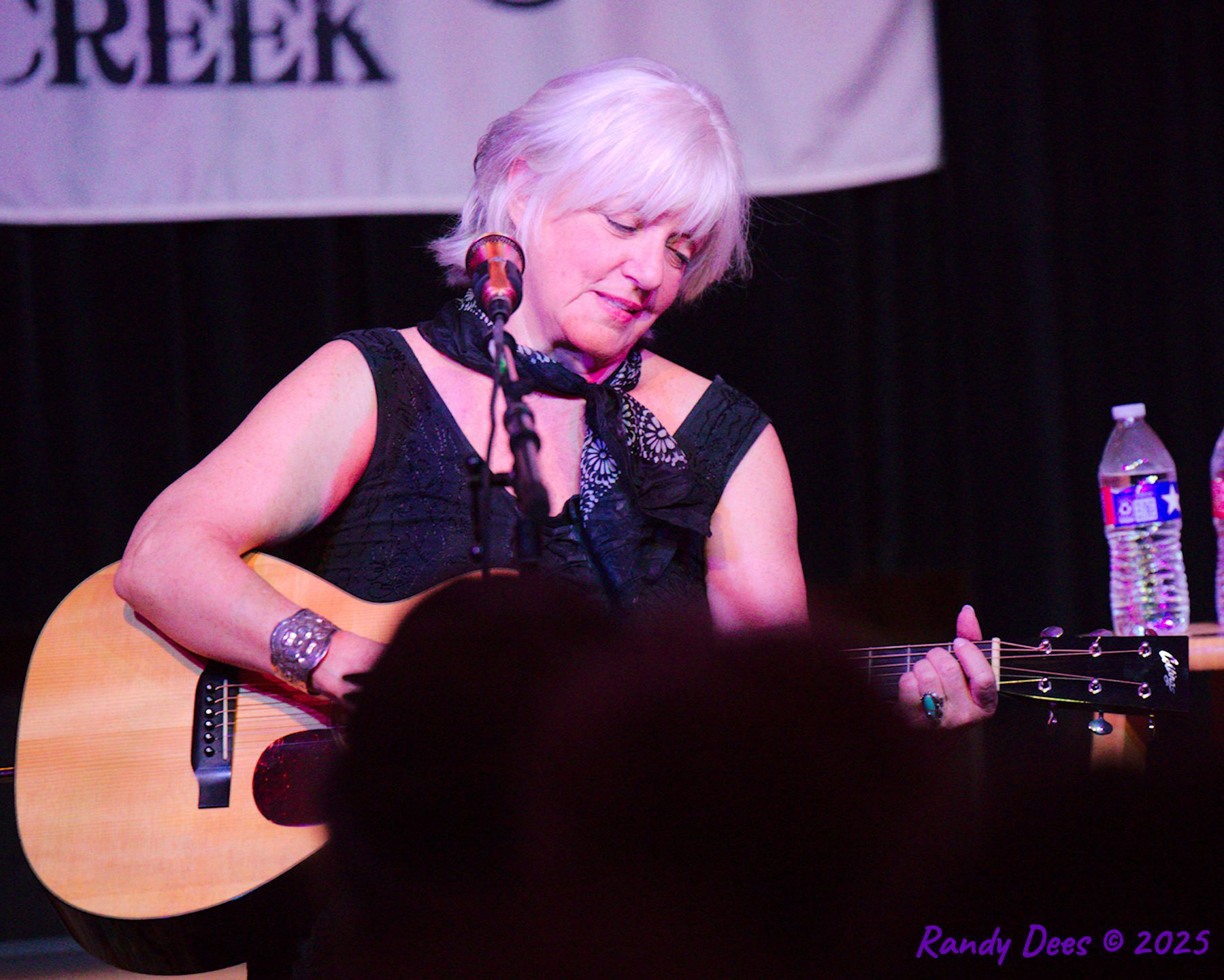 Sycamore Creek Concerts