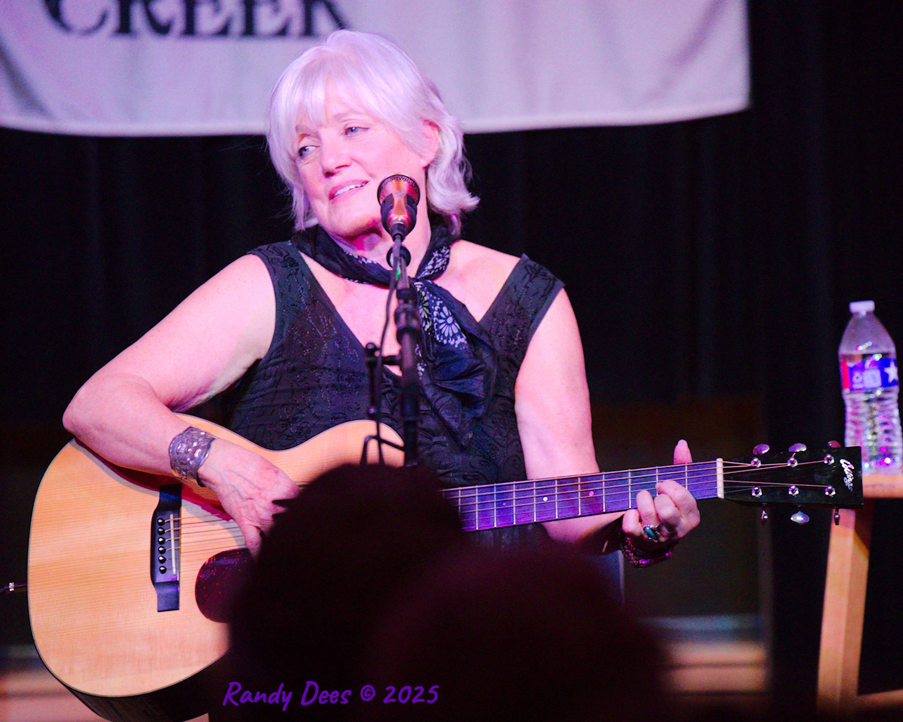 Sycamore Creek Concerts