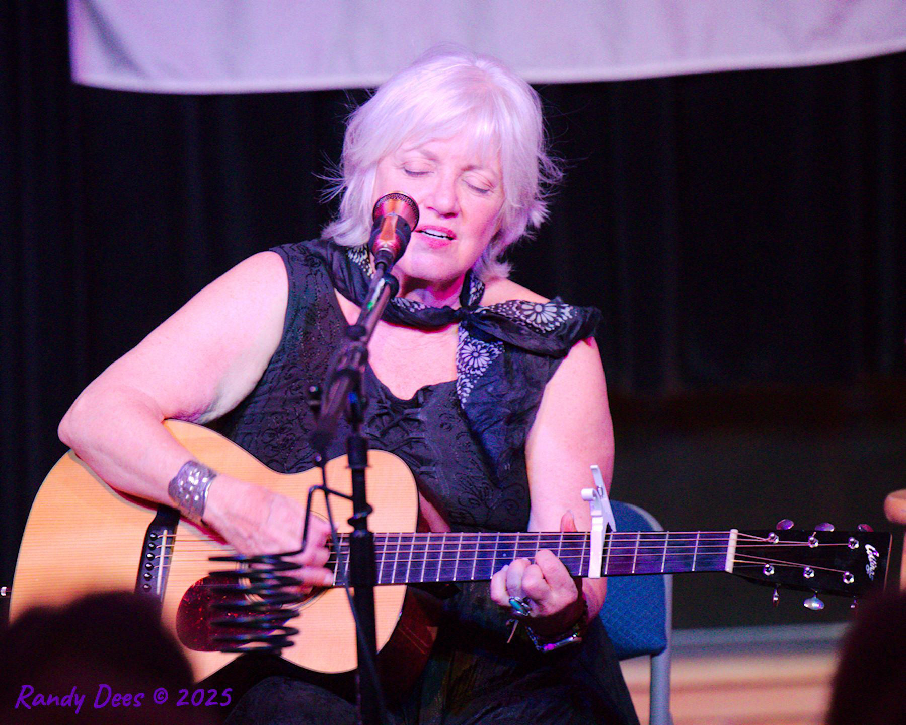 Sycamore Creek Concerts