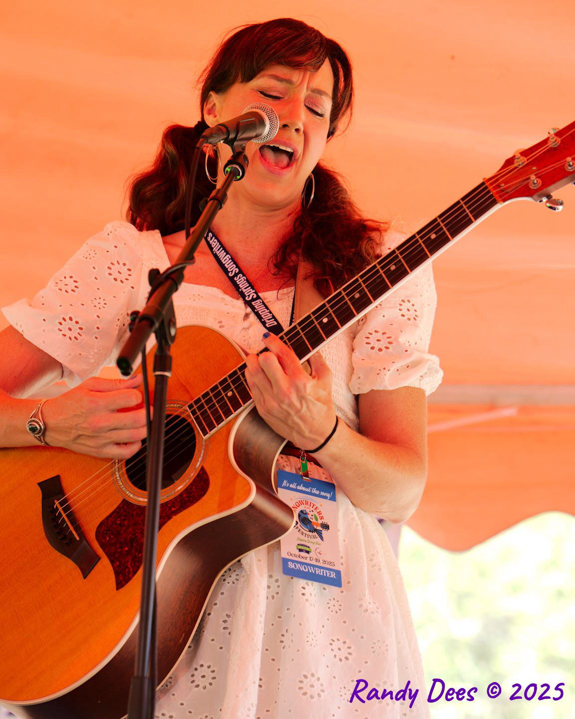 2025 Dripping Springs Songwriter Festival