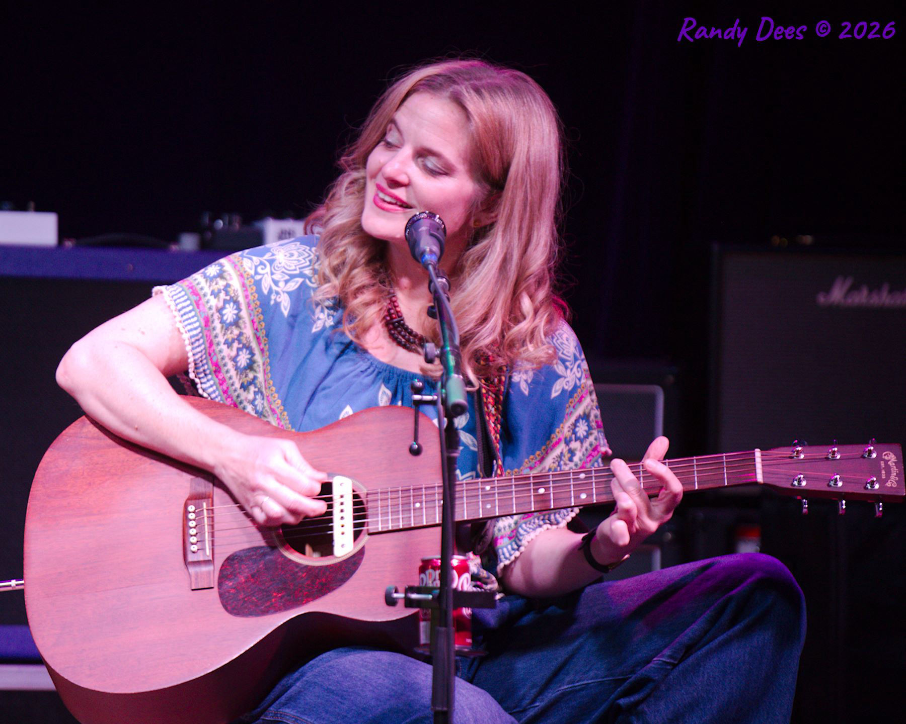 Cantina Sound House Concerts