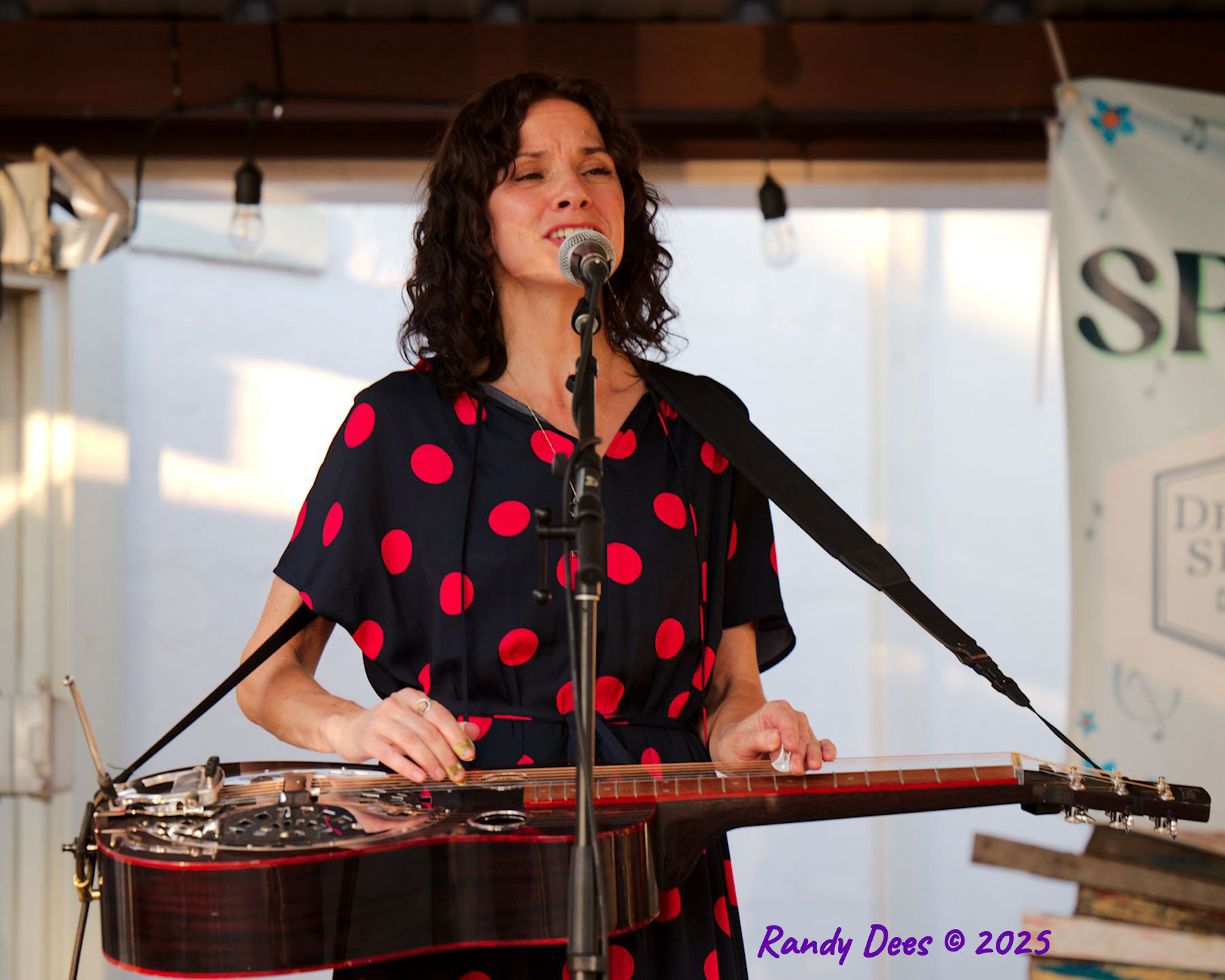 2025 Dripping Springs Songwriter Festival