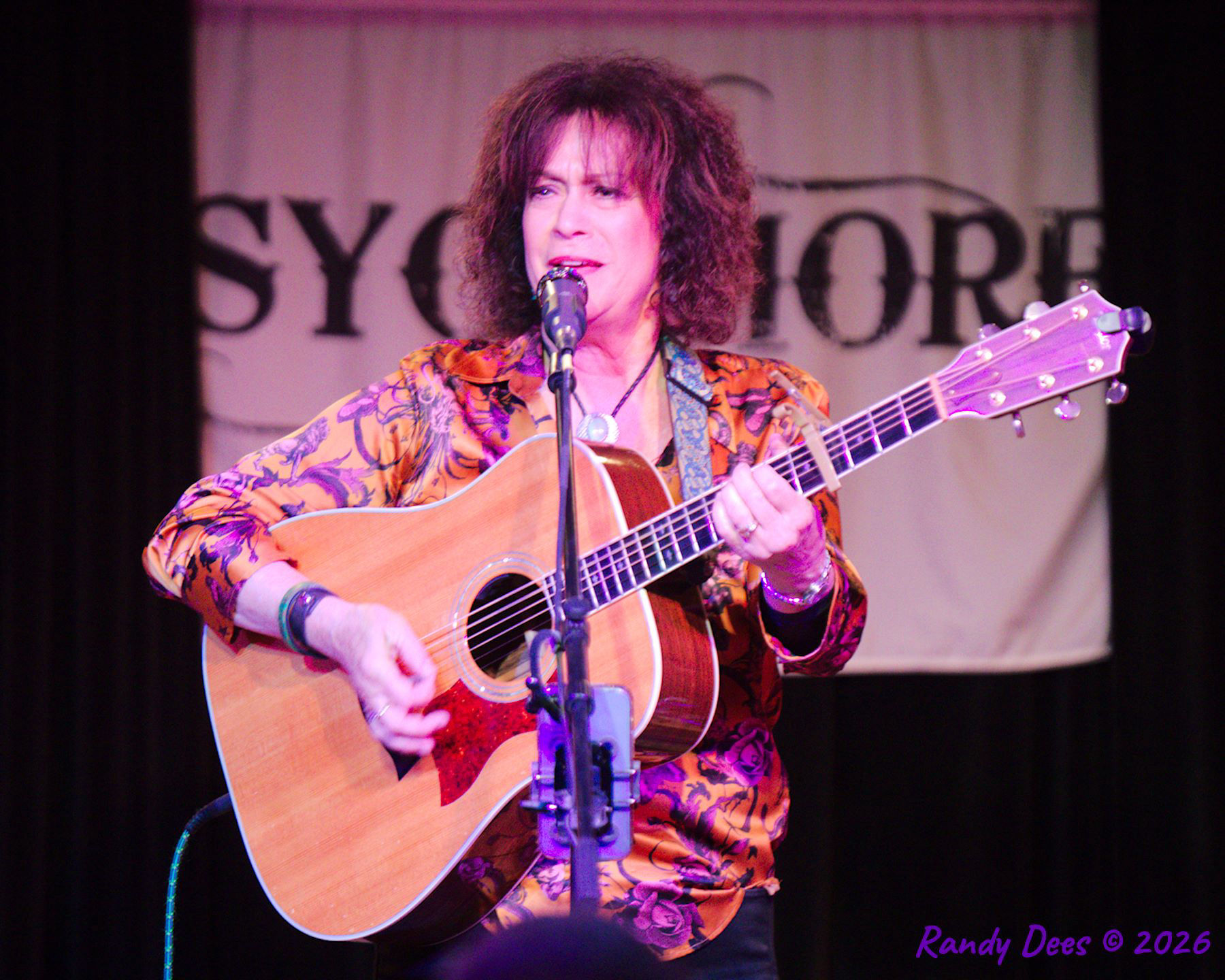 Sycamore Creek Concerts