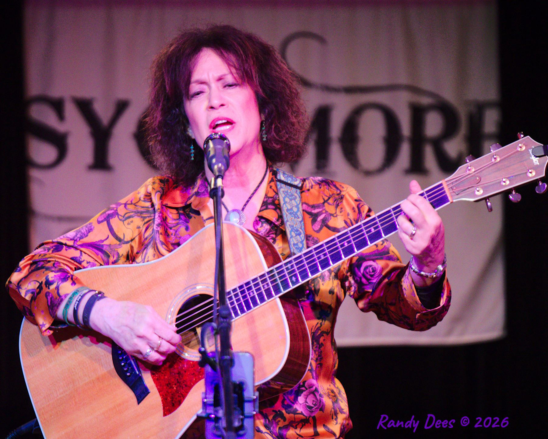 Sycamore Creek Concerts