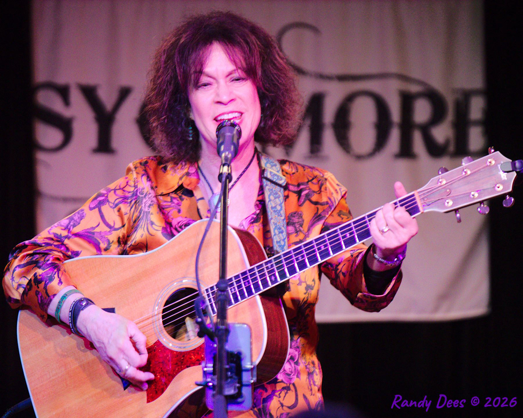 Sycamore Creek Concerts