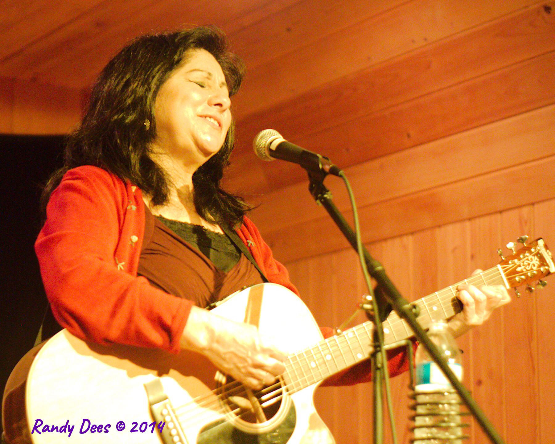 Sycamore Creek House Concerts