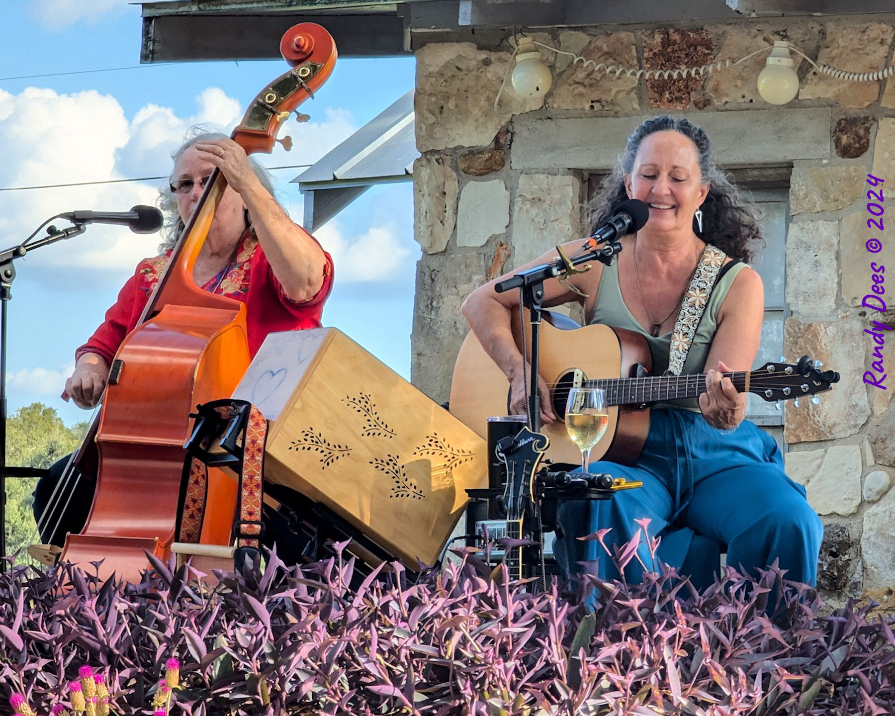 Hill Country Honeys