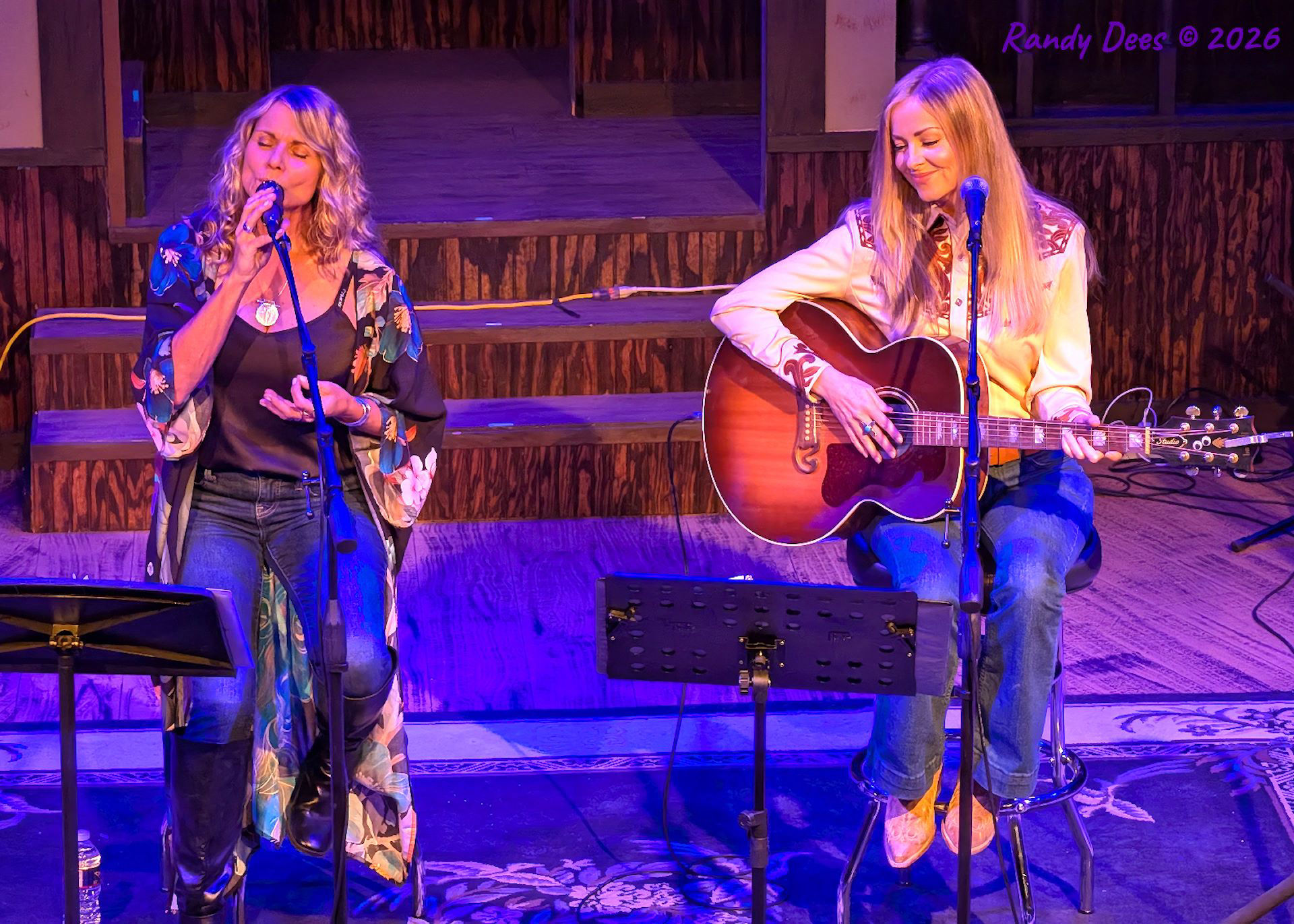 Stars Over Wimberley WinterNights