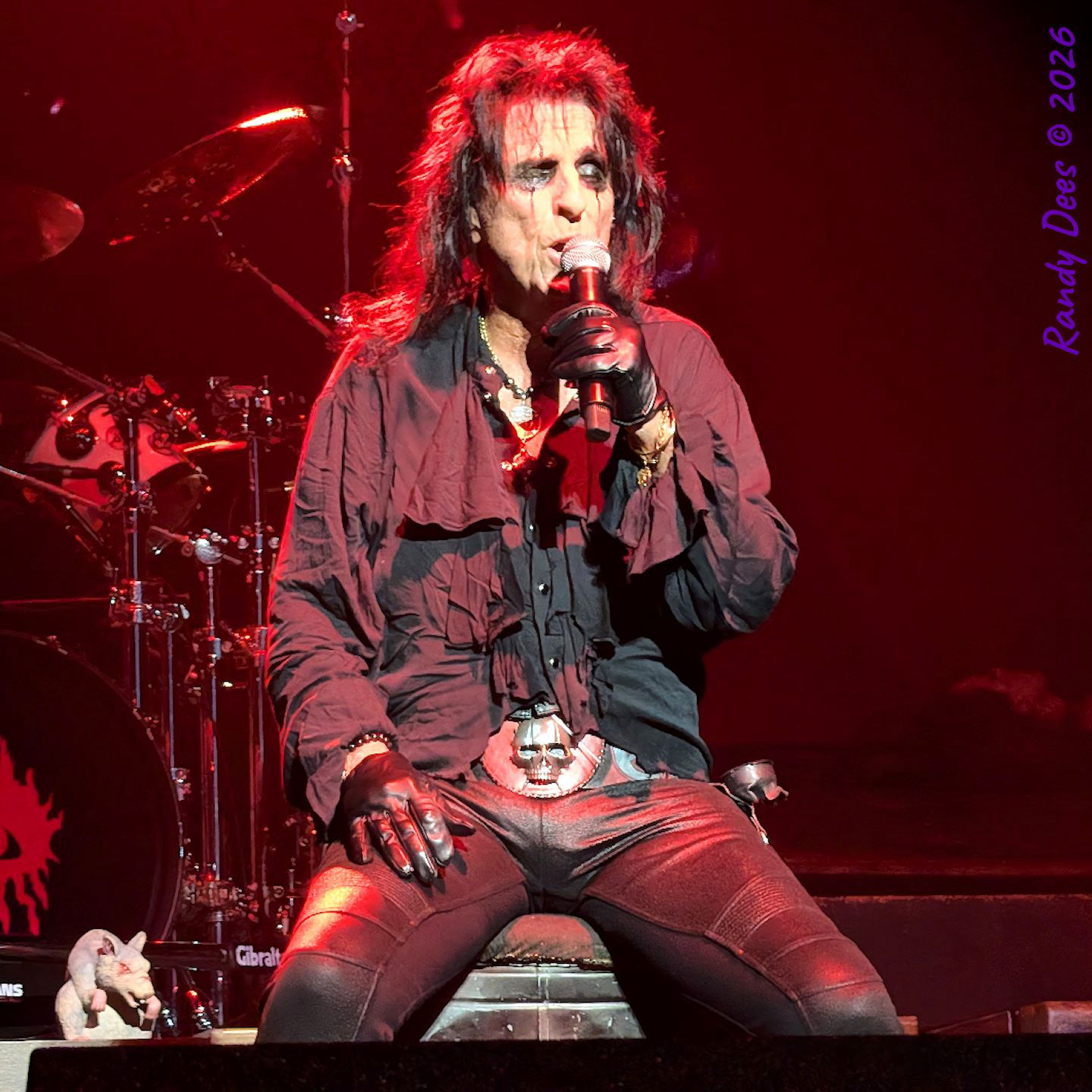 Alice Cooper